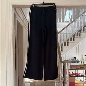 NWT ZSupply Layover Modal Track Pants